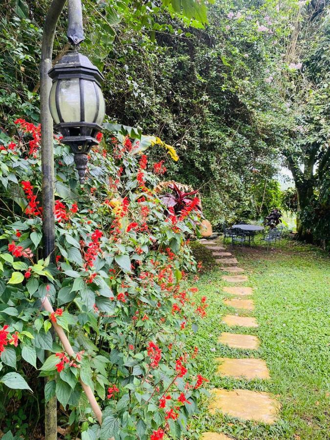 Finca Hotel Los Girasoles Montenegro Exterior photo